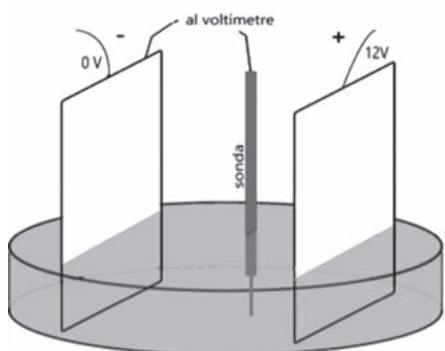 Montaje experimental con cápsula de Petri, dos placas paralelas (0V y 12V) y una sonda conectada a un voltímetro.