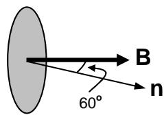 Diagrama de una espira en un campo magnético B, donde el vector normal n forma un ángulo de 60 grados con B.