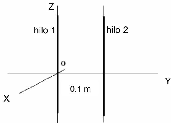 Diagrama de dos hilos conductores paralelos al eje Z, separados por una distancia de 0,1 m en el eje Y.