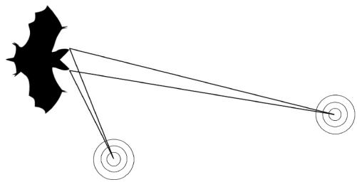 Figura del problema P3: murciélago y mosquito con distancias a las orejas.