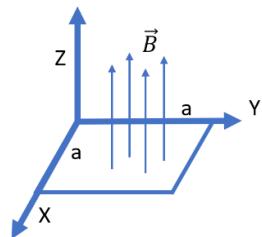 Esquema de la espira cuadrada en el plano XY con campo magnético B en dirección Z.