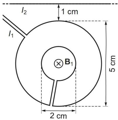 Dos espiras concéntricas de diámetros 2 cm y 5 cm con un hilo infinito a 1 cm de distancia.