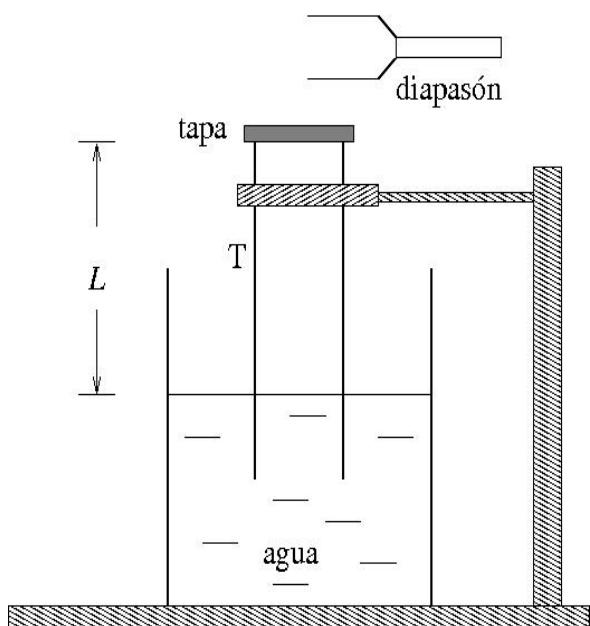 Esquema del experimento con diapasón, tubo T de longitud L sumergido en agua y cerrado con una tapa.