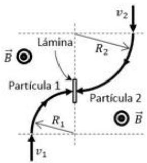 Trayectorias curvas de dos partículas en un campo magnético saliente hacia una lámina central, con radios R1 y R2.