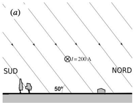 Figura (a): Representación del campo magnético terrestre inclinado 50 grados y un cable con corriente de 200 A.