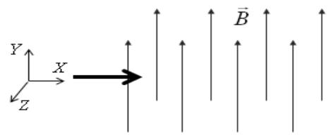 Esquema de un haz de partículas entrando en un campo magnético uniforme B orientado en el eje Y positivo, con sistema de coordenadas X, Y, Z.