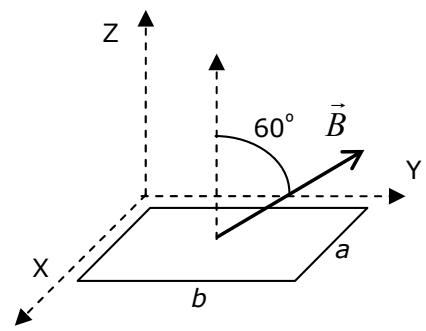 Espira rectangular en el plano XY con campo magnético B formando 60 grados con el eje Z.