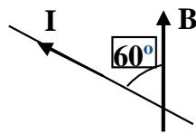 Diagrama de un cable conductor con corriente I y un campo magnético B formando un ángulo de 60 grados.