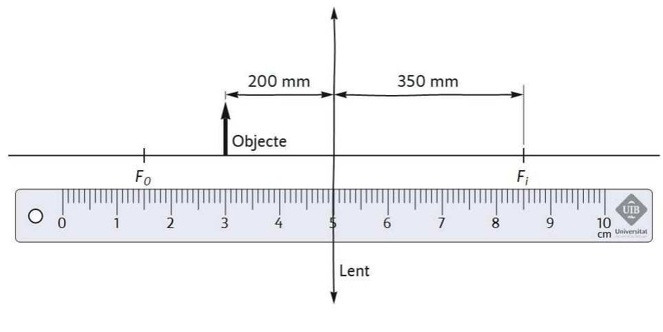 Diagrama de una lente delgada con un objeto y una regla para escala.