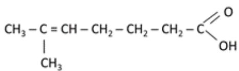 Estructura química de un ácido carboxílico insaturado ramificado (ácido 6-metilhept-5-enoico).