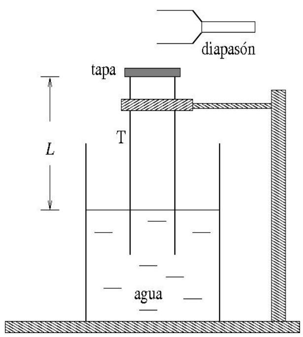 Esquema del experimento de resonancia con un diapasón y un tubo T sumergido en agua.