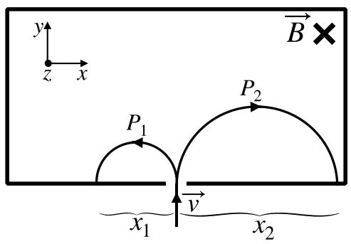 Esquema de un espectrómetro de masas con campo magnético entrante y trayectorias semicirculares de dos partículas P1 y P2 con radios x1 y x2.