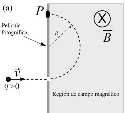 Esquema (a) de un espectrómetro de masas mostrando la trayectoria semicircular de un ion positivo.