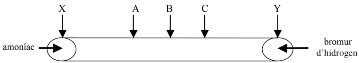 Tubo de difusión con puntos de salida X e Y y puntos de encuentro A, B y C