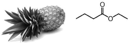 Imagen de una piña y la estructura química del butirato de etilo.