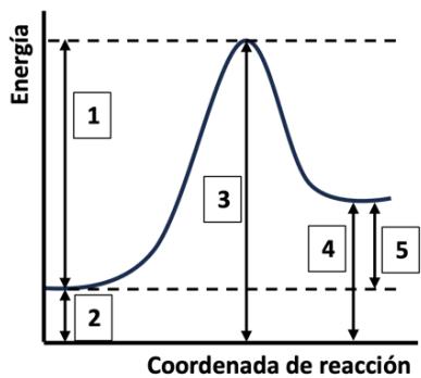 Diagrama de energía potencial frente a coordenada de reacción con intervalos numerados del 1 al 5.