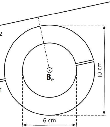 Esquema de dos espiras concéntricas de diámetros 6 cm y 10 cm y un hilo recto exterior.
