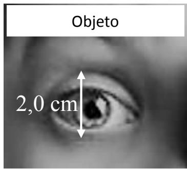 Objeto (ojo real) con una altura de 2,0 cm.