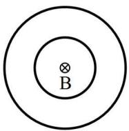 Dos espiras concéntricas con un vector de campo magnético B entrante en el centro.