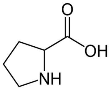 Figura 2. Estructura química de la prolina