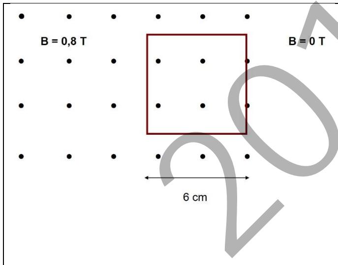 Espira cuadrada de 6 cm en un campo magnético uniforme B = 0,8 T.