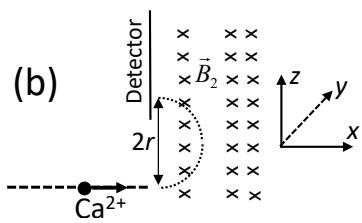 Figura (b): Detector de iones con campo magnético B2 y trayectoria circular de radio r