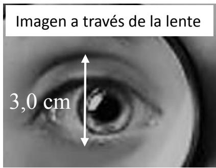 Imagen del ojo a través de la lente con una altura de 3,0 cm.