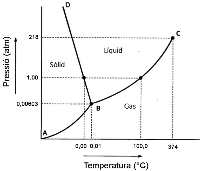 Diagrama de fases del agua mostrando presión (atm) frente a temperatura (°C) con puntos A, B, C, D y regiones de sólido, líquido y gas.