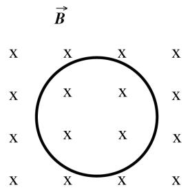 Diagrama de una espira circular en un campo magnético entrante (representado por cruces).