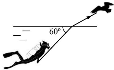 Diagrama de un buceador bajo el agua emitiendo un rayo láser hacia un pájaro en el aire, con un ángulo de 60 grados respecto a la superficie.