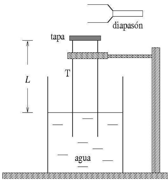 Esquema del experimento de resonancia con un tubo sumergido en agua, un diapasón y una tapa.