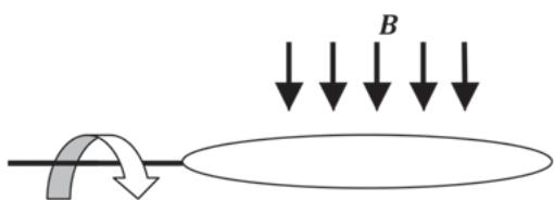 Diagrama de una espira circular girando en un campo magnético uniforme vertical