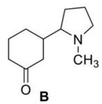 Estructura de la molécula B