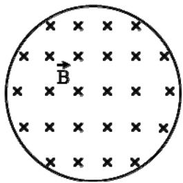 Espira circular en un campo magnético entrante indicado por cruces