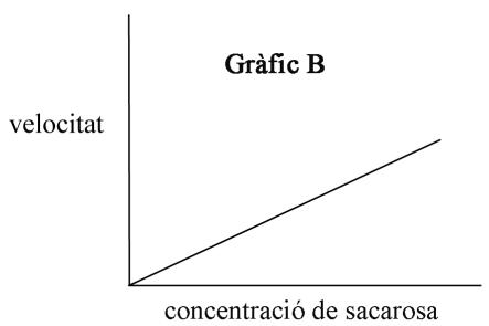 Gráfico B: Velocidad proporcional a la concentración de sacarosa