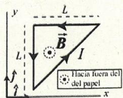 Espira triangular en campo magnético B saliente