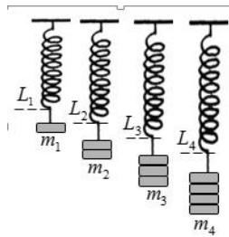 Esquema de un muelle con diferentes masas colgadas (m1 a m4) y sus correspondientes longitudes (L1 a L4).
