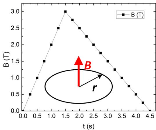 Gráfica de la inducción magnética B(T) frente al tiempo t(s) y esquema de una espira circular de radio r atravesada por un campo B.