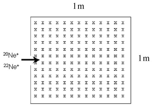 Esquema de un espectrómetro de masas con un campo magnético uniforme (representado por cruces) y la entrada de iones de Neón.