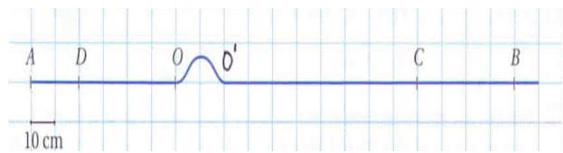 Representación de una onda transversal en una cuerda con puntos A, D, O, O', C y B marcados sobre una cuadrícula de 10 cm.