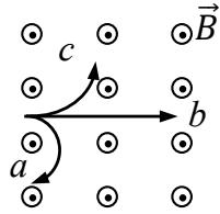 Trayectorias de tres partículas (a, b, c) en un campo magnético uniforme saliente. La partícula 'a' se desvía hacia abajo, 'b' sigue recto y 'c' se desvía hacia arriba.