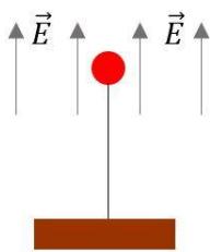 Esquema de una bolita en un campo eléctrico vertical uniforme E dirigido hacia arriba.