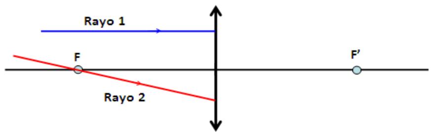 Diagrama de rayos en una lente delgada convergente con focos F y F'. El Rayo 1 es paralelo al eje óptico y el Rayo 2 pasa por el foco objeto F.