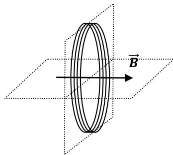 Esquema de la bobina de 200 espiras atravesada por un campo magnético paralelo a su eje.