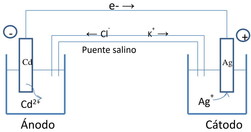 Esquema de una pila galvánica con electrodos de Cd y Ag, puente salino y flujo de electrones