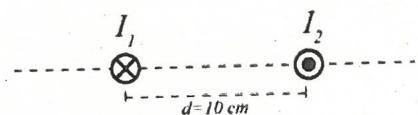Dos conductores paralelos separados una distancia d=10 cm con corrientes I1 (entrante) e I2 (saliente).