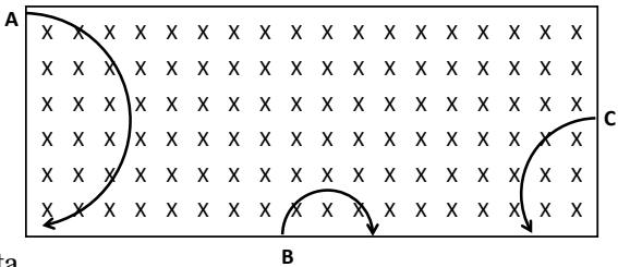 Trayectorias A, B y C de partículas cargadas en un campo magnético uniforme entrante (representado por cruces).