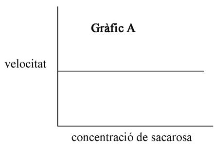 Gráfico A: Velocidad constante frente a la concentración de sacarosa