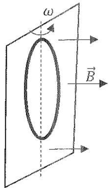 Diagrama de una espira circular rotando con velocidad angular omega en un campo magnético uniforme B