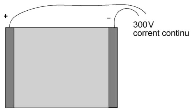 Esquema de electroforesis con electrodos positivo y negativo a 300V